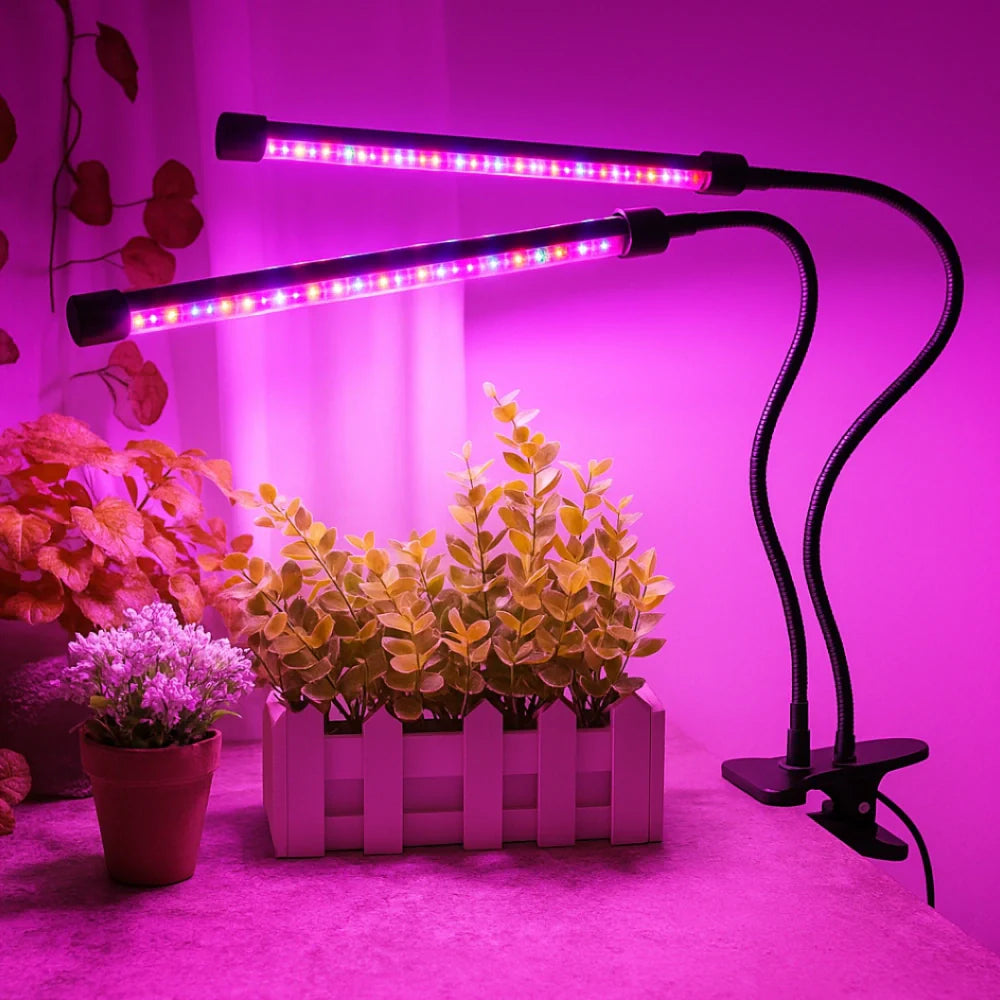 GrowLuma Pflanzenlampe – LED Vollspektrum Licht Weiß für Indoor