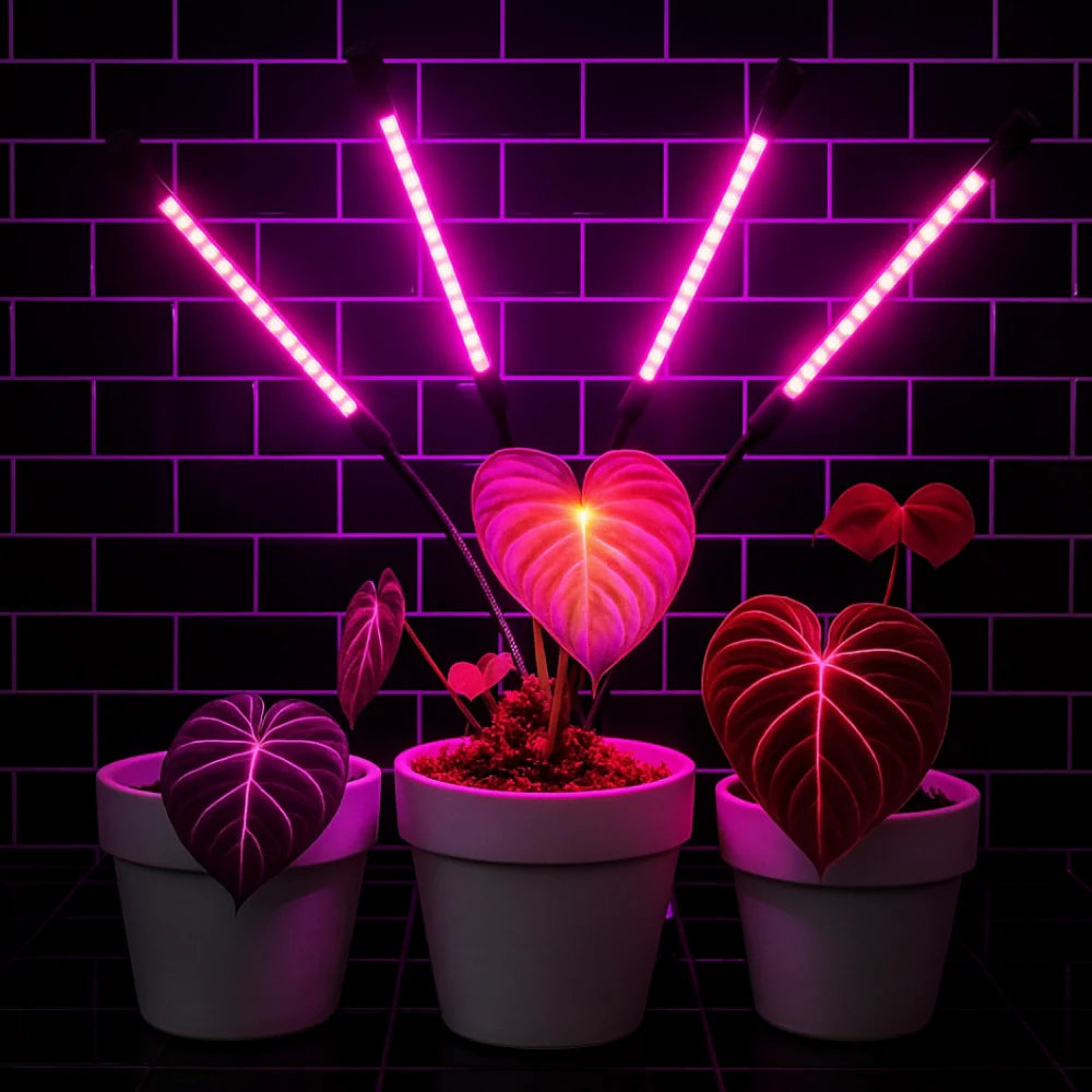 GrowLuma Pflanzenlampe – LED Vollspektrum Licht Weiß für Indoor