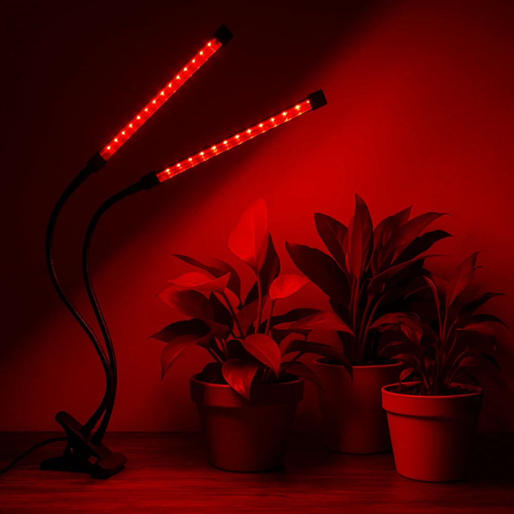 GrowLuma Pflanzenlampe – LED Vollspektrum Licht Weiß für Indoor