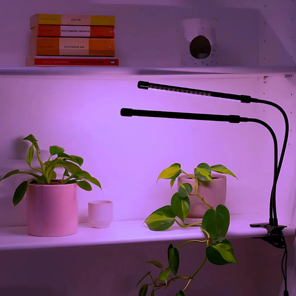 GrowLuma Pflanzenlampe – LED Vollspektrum Licht Weiß für Indoor