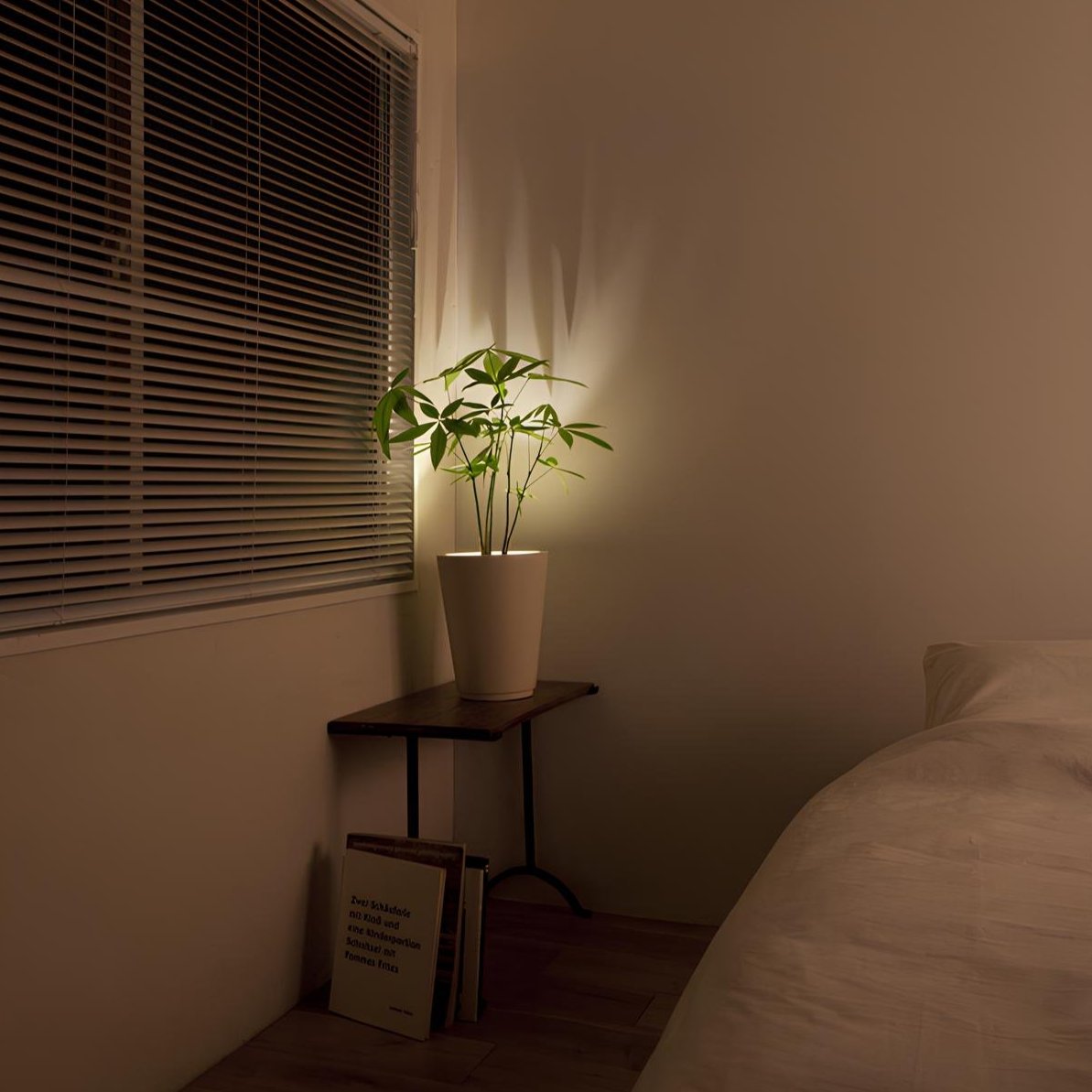 FlexiStrahl LED Spotleuchte Modern Schwarz für Gartenwege