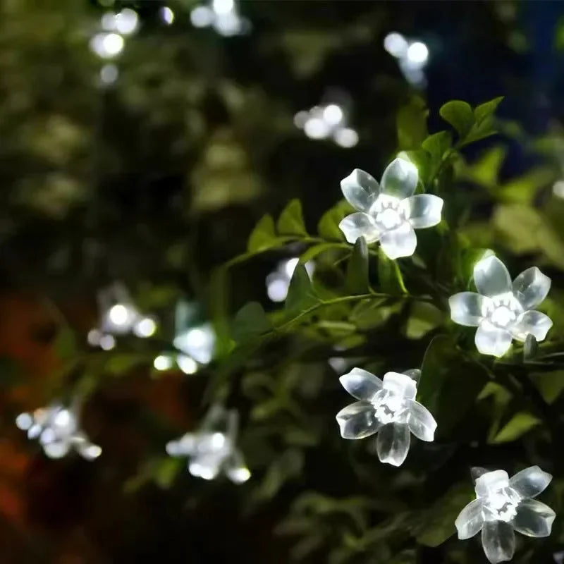 SunBlossom – Gartenblume, beleuchtet durch Sonnenenergie