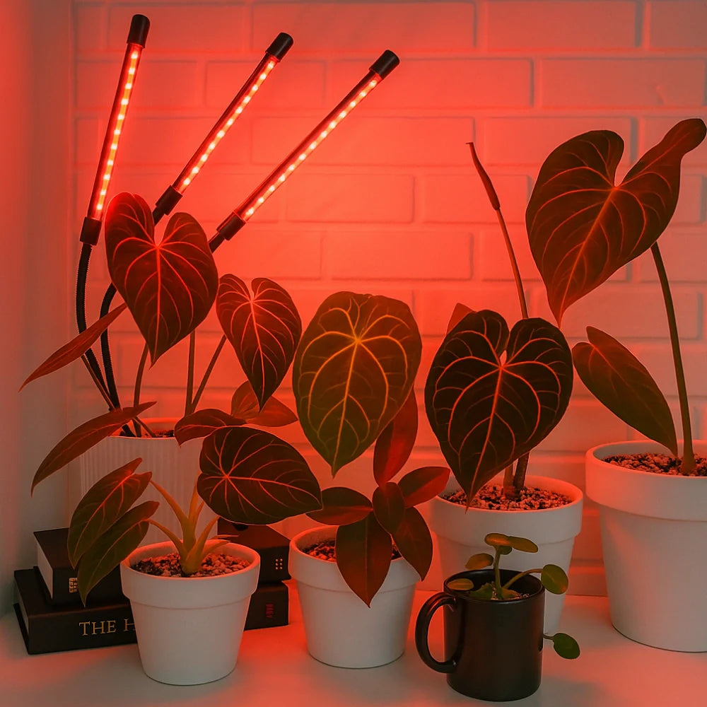 GrowLuma Pflanzenlampe – LED Vollspektrum Licht Weiß für Indoor