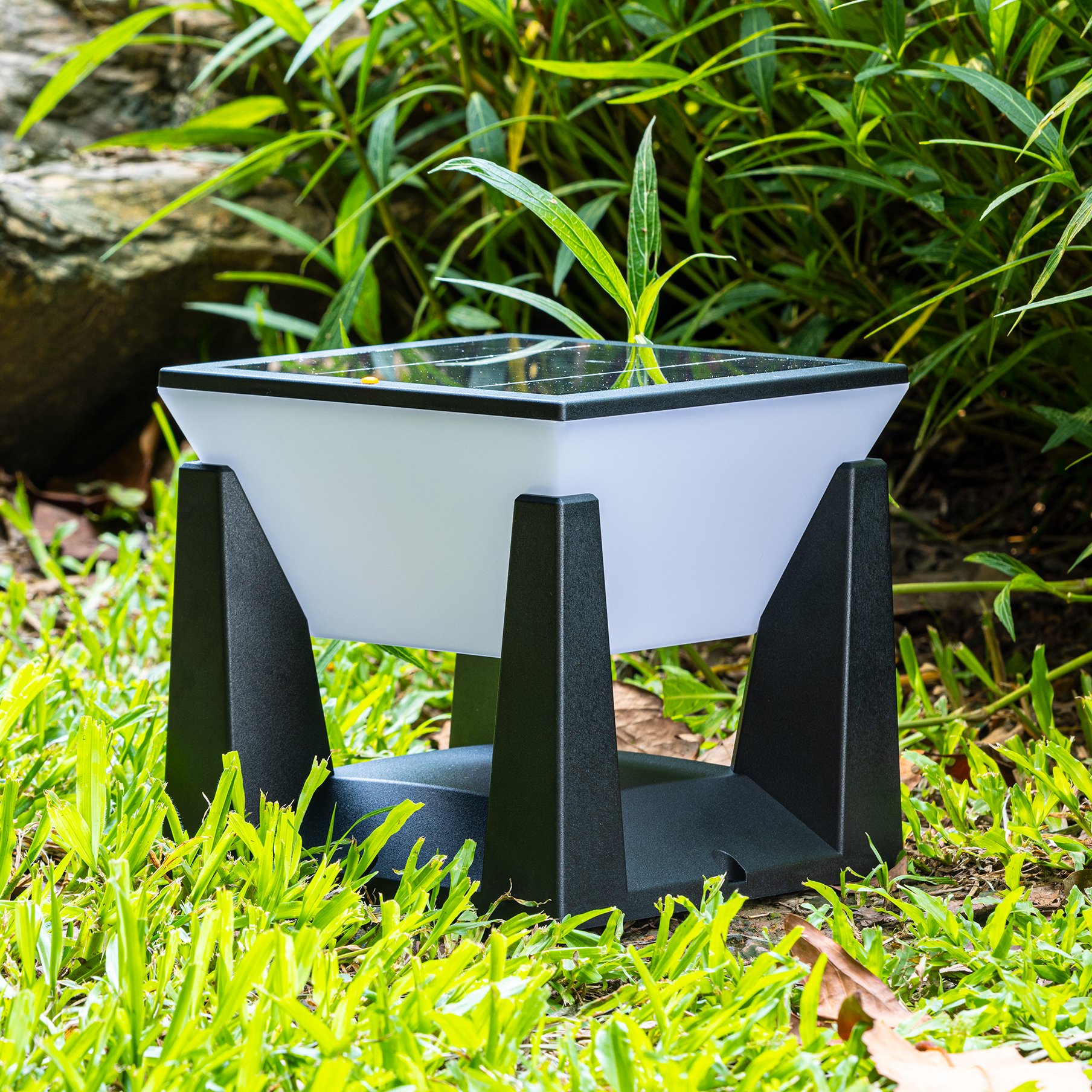 SolaWege LED Wegleuchte – Solar Außenlampe Schwarz für Garten