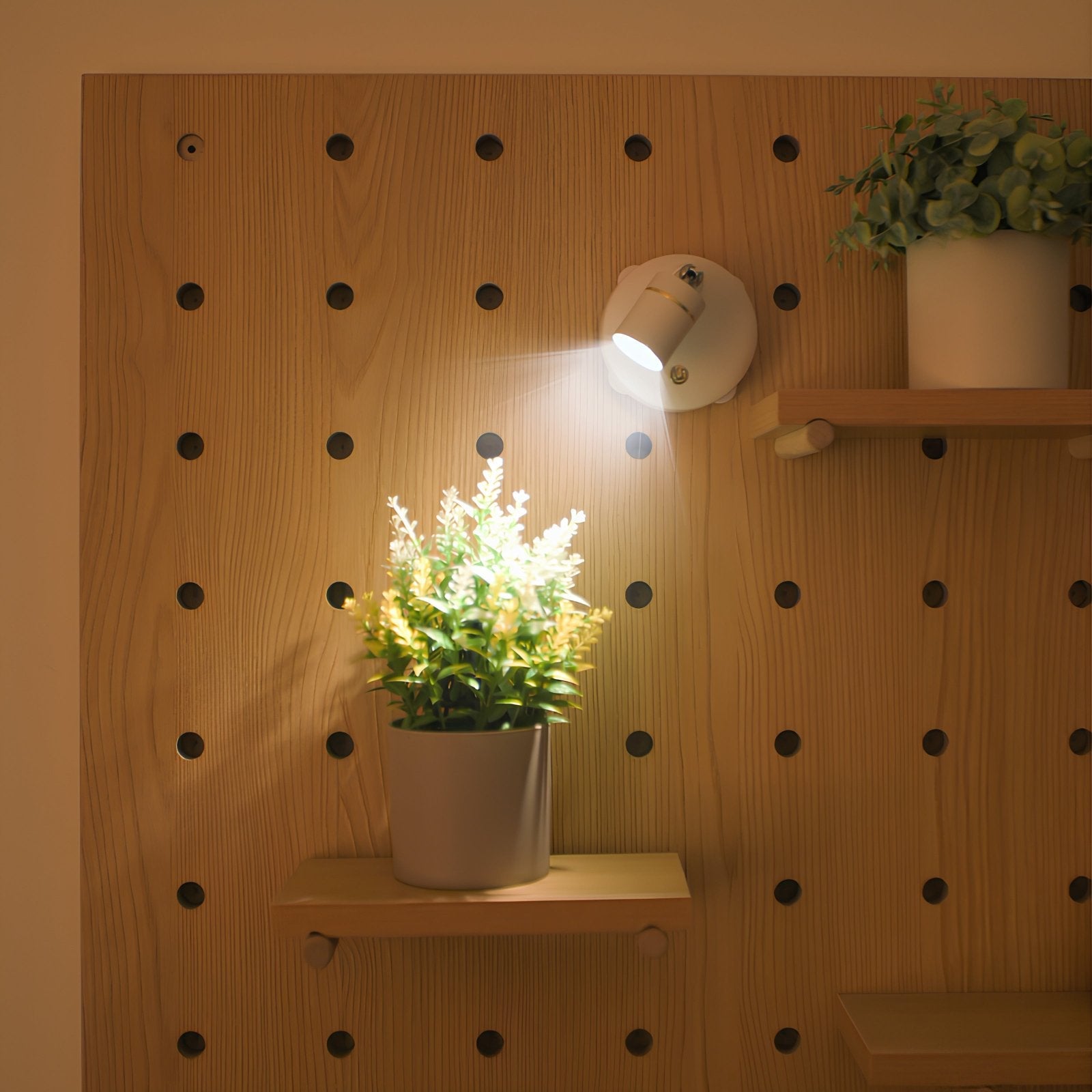 FlexiStrahl LED Spotleuchte Modern Schwarz für Gartenwege
